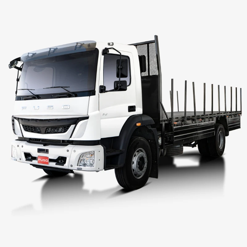 Detalle FUSO 2